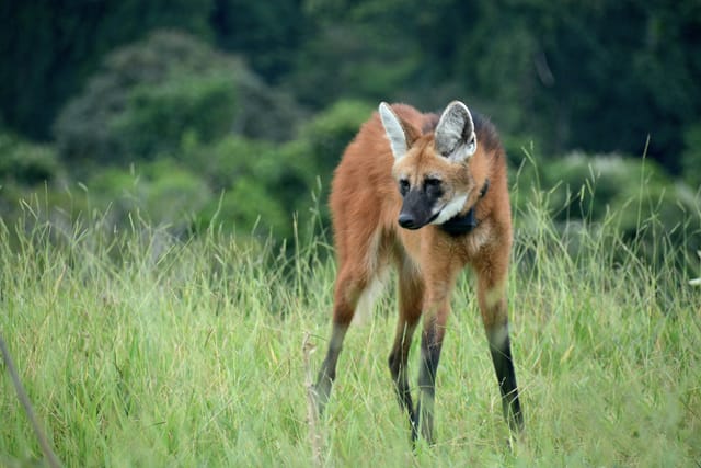 Habitat e território