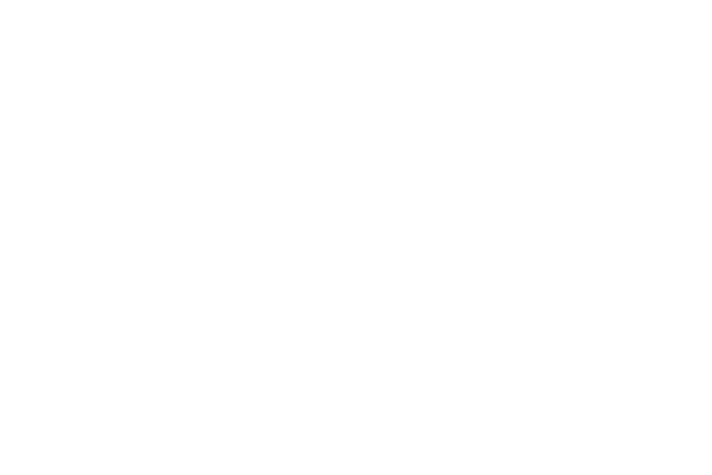 Lobo-guará 2