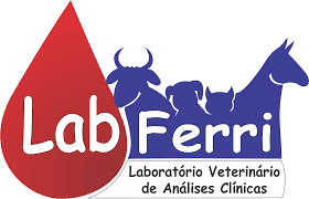 LabFerri